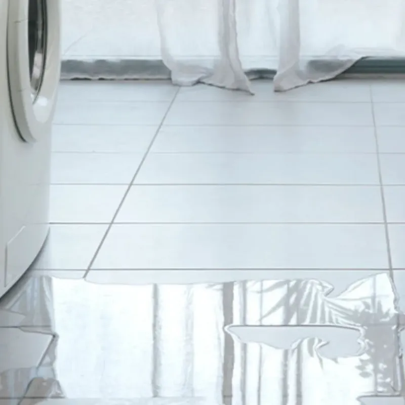 Appliance Leak Cleanup in Prospect, KY