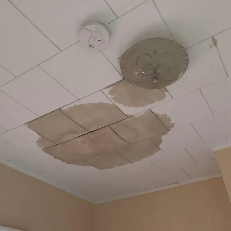 Ceiling Water Damage Repair in Prospect, KY